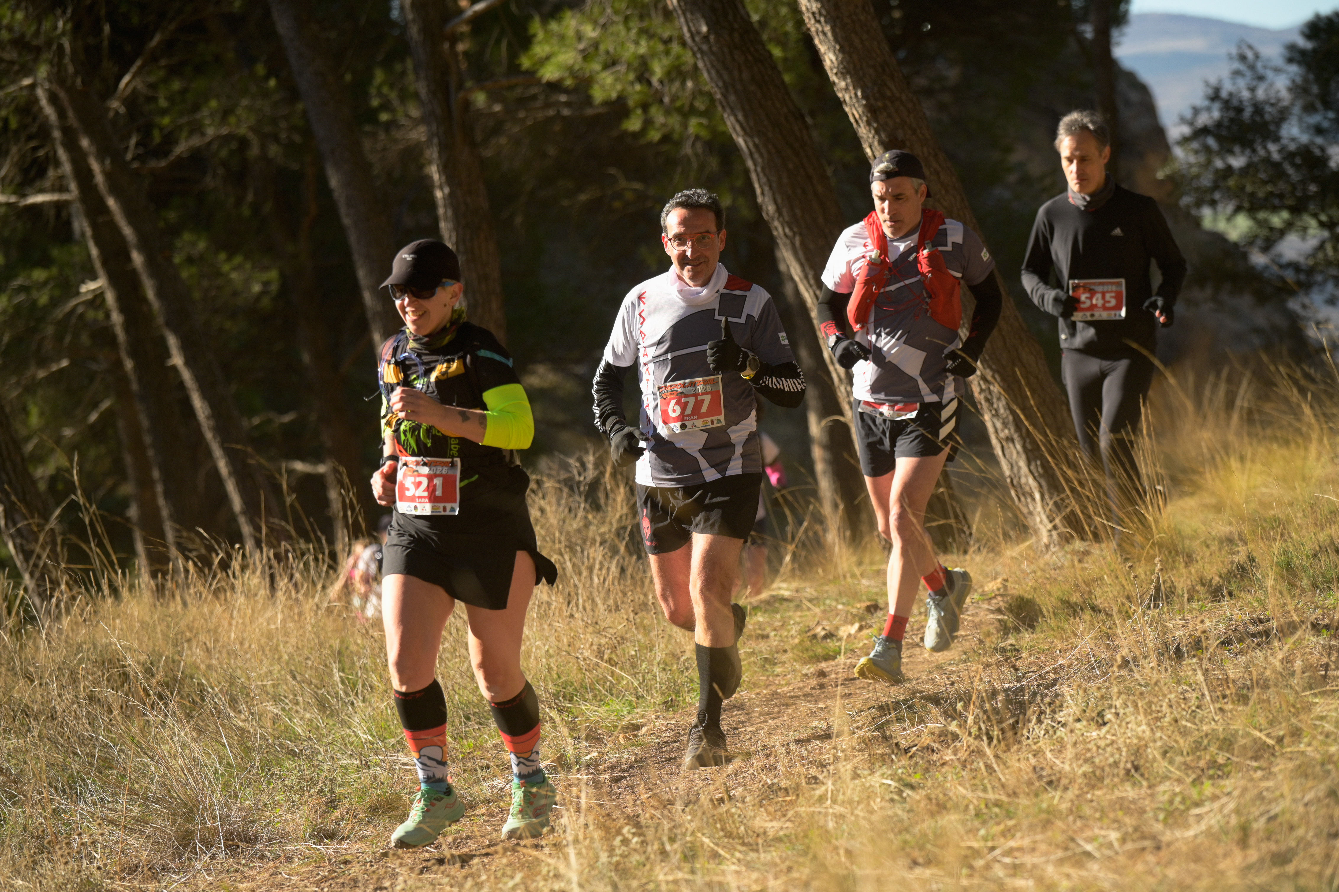 Runners moving through pine forest on the Daroca Trail course