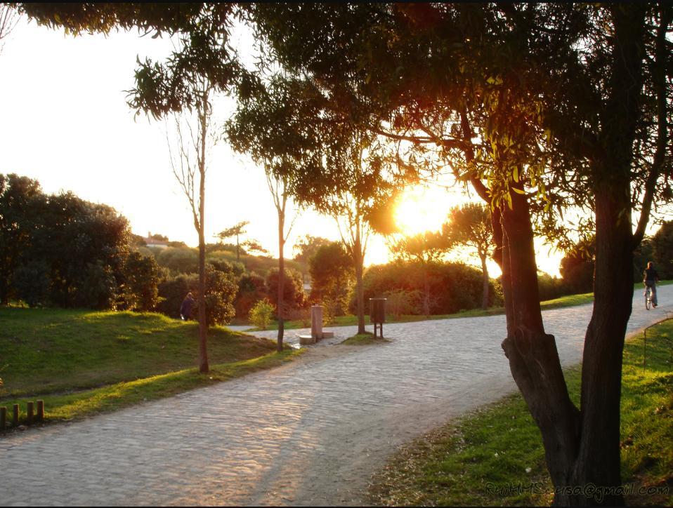 Parque da Cidade, the Porto park that hosts Primavera Sound